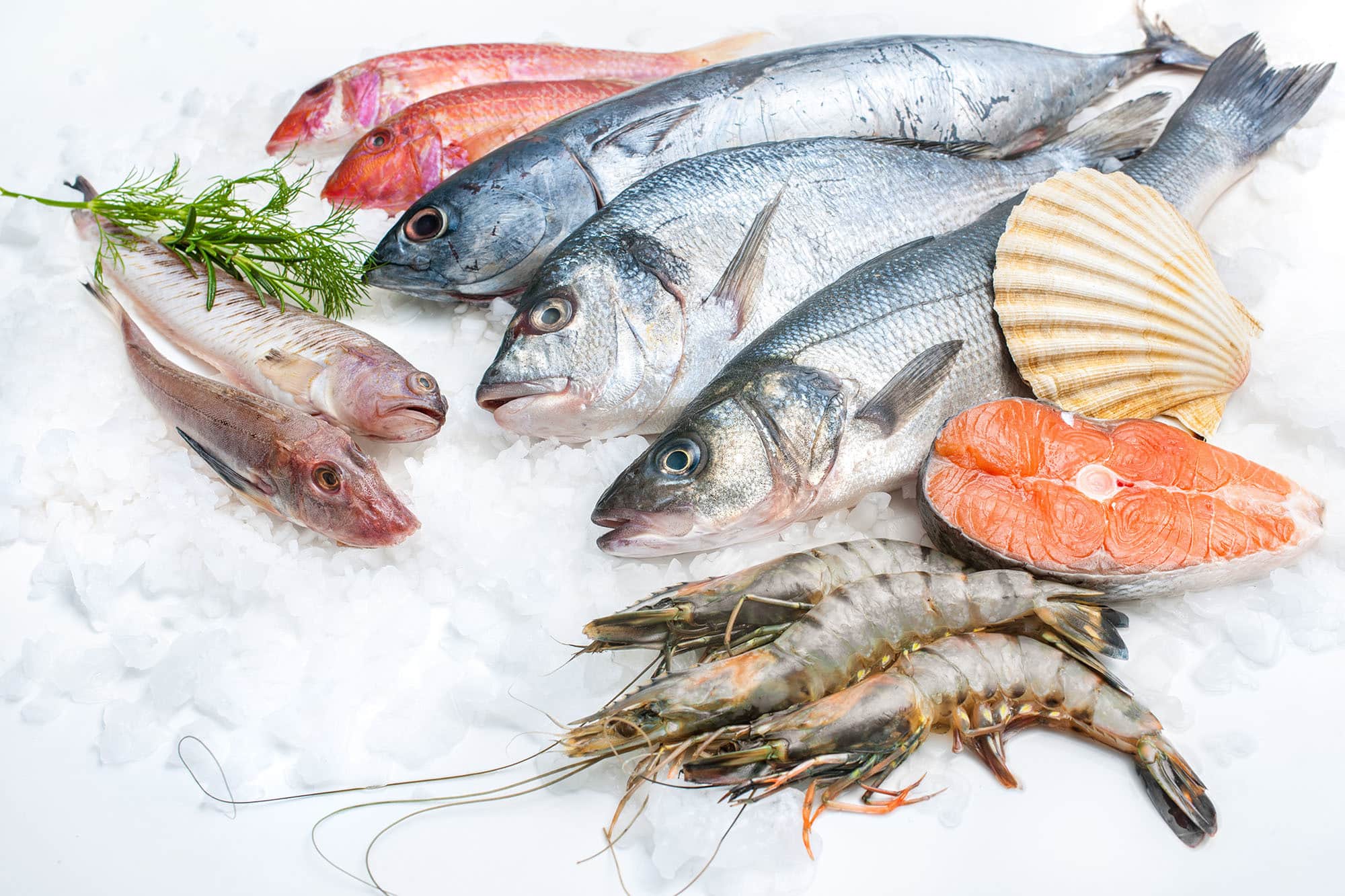výhody stravovania rýb