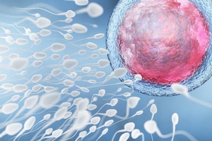 Analýza spermií je test na fertilitu u mužov