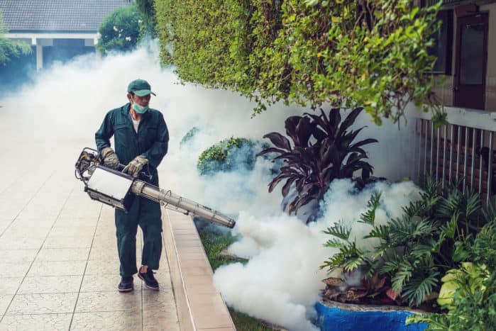 zahmlievajúci plyn v komároch dengue