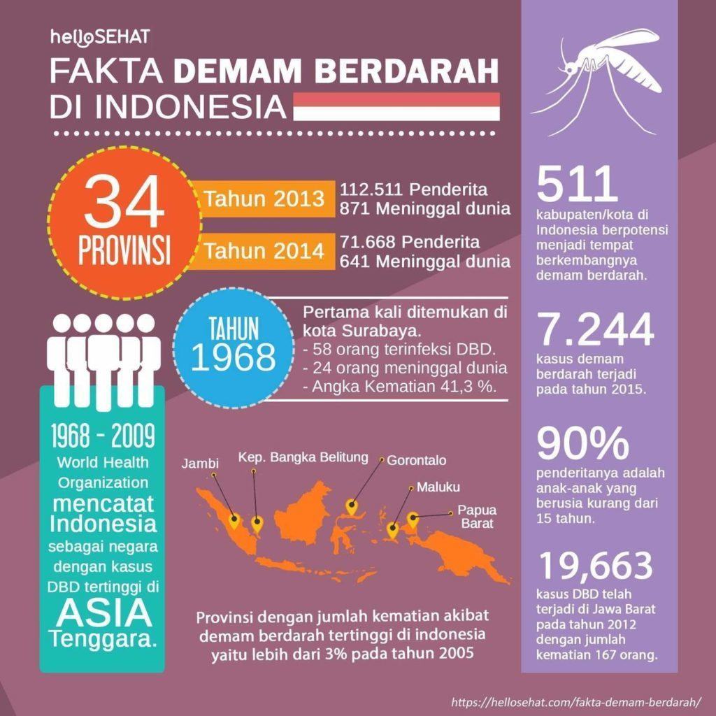 horúčka dengue hellosehat v Indonézii
