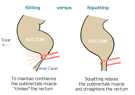 posedenie vs squatting